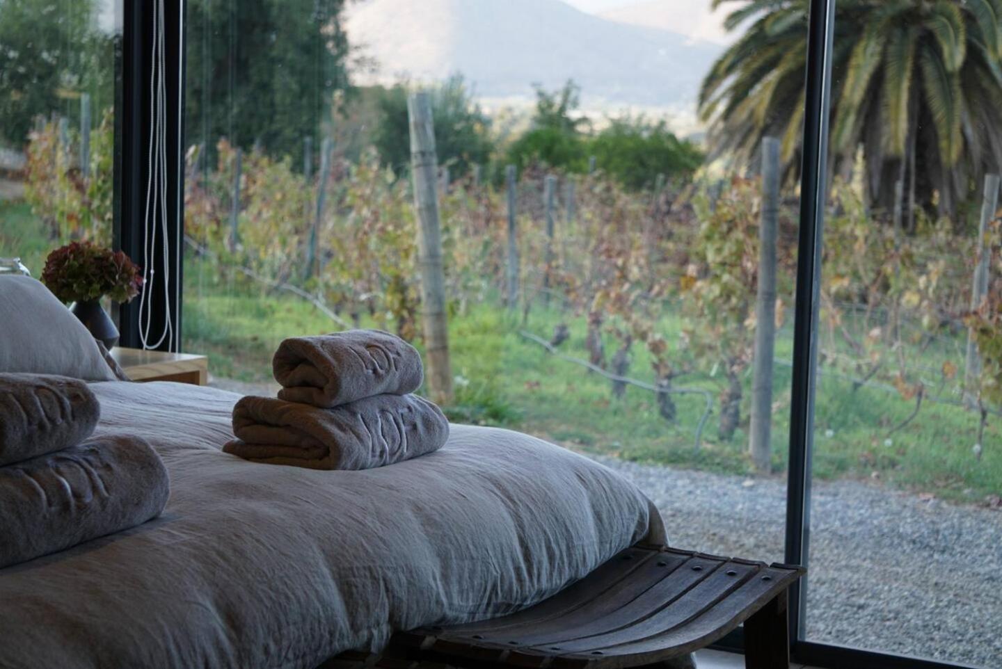 Vina Lof - Maipo Valley Bed & Breakfast In Winery Paine Buitenkant foto