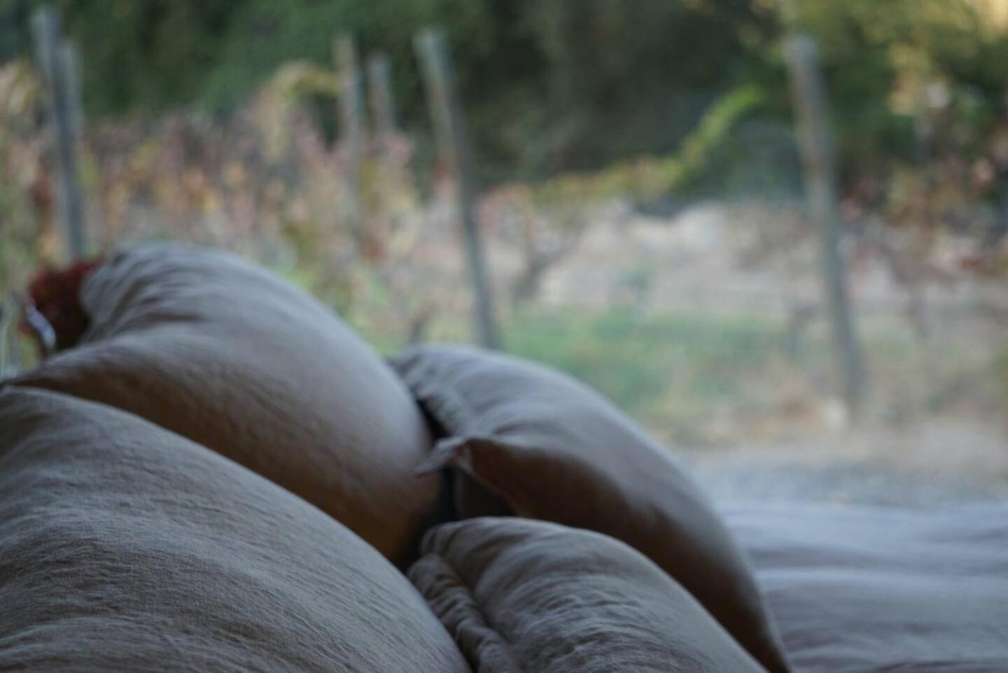 Vina Lof - Maipo Valley Bed & Breakfast In Winery Paine Buitenkant foto