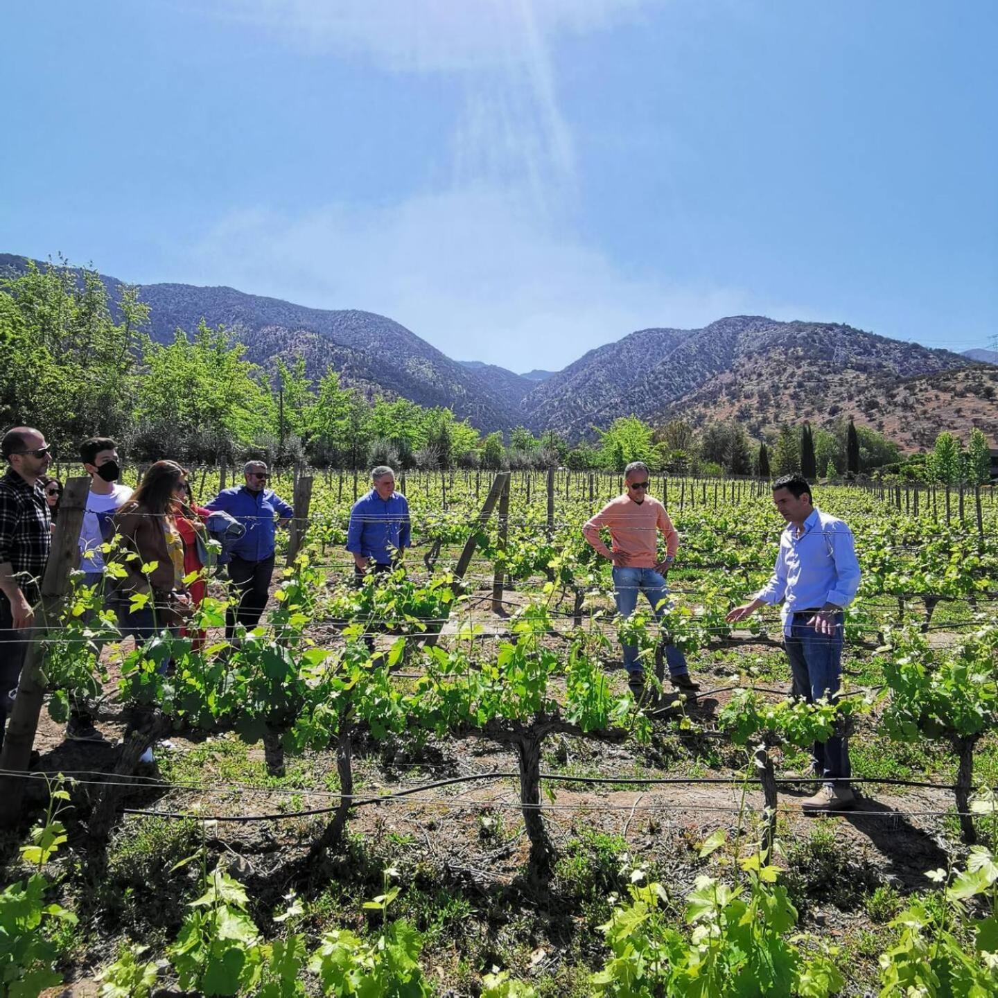 Vina Lof - Maipo Valley Bed & Breakfast In Winery Paine Buitenkant foto