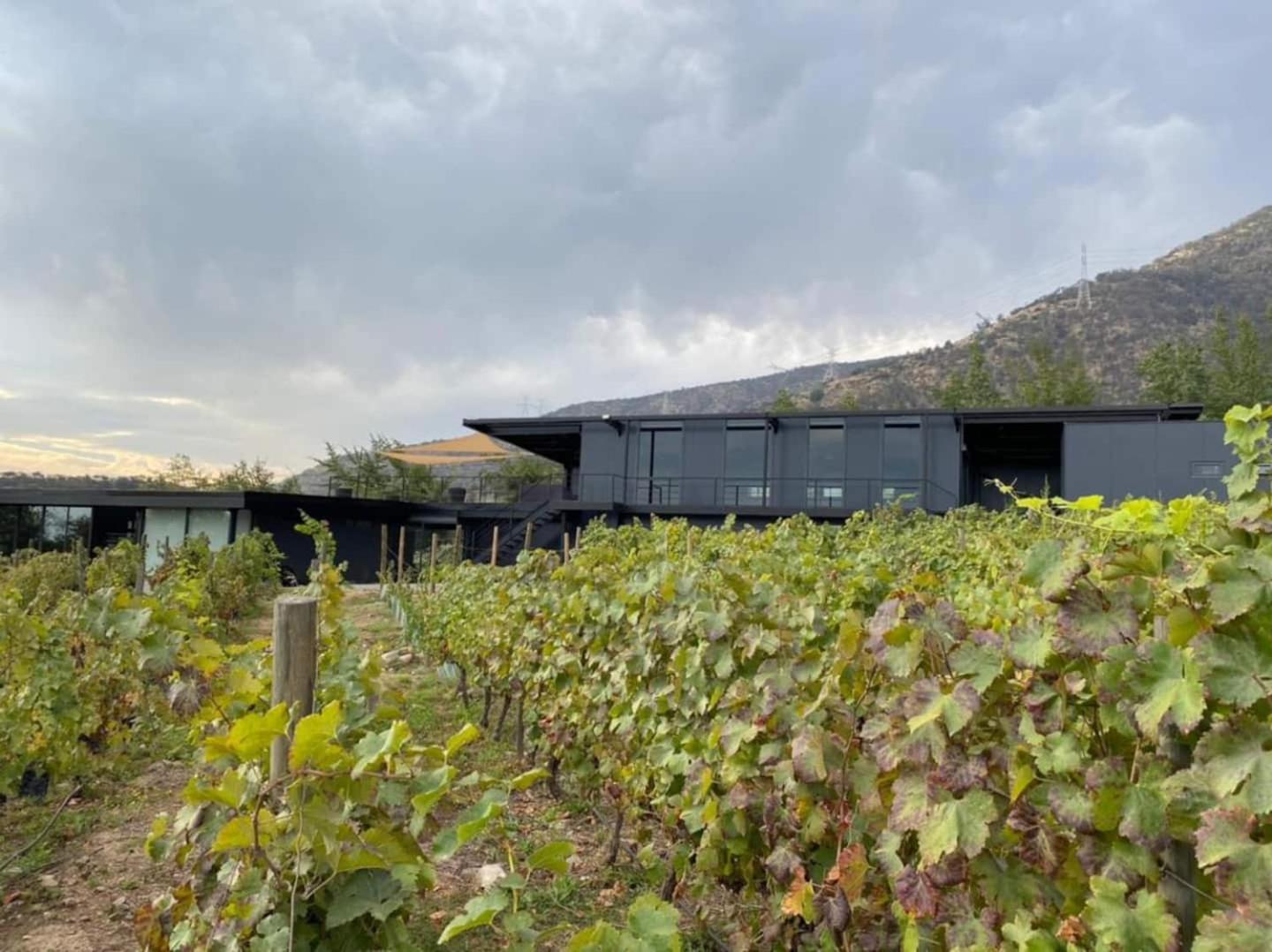 Vina Lof - Maipo Valley Bed & Breakfast In Winery Paine Buitenkant foto