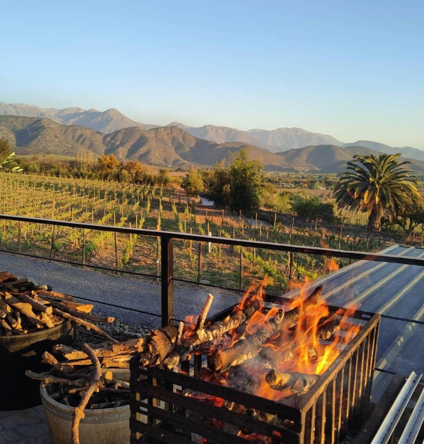 Vina Lof - Maipo Valley Bed & Breakfast In Winery Paine Buitenkant foto