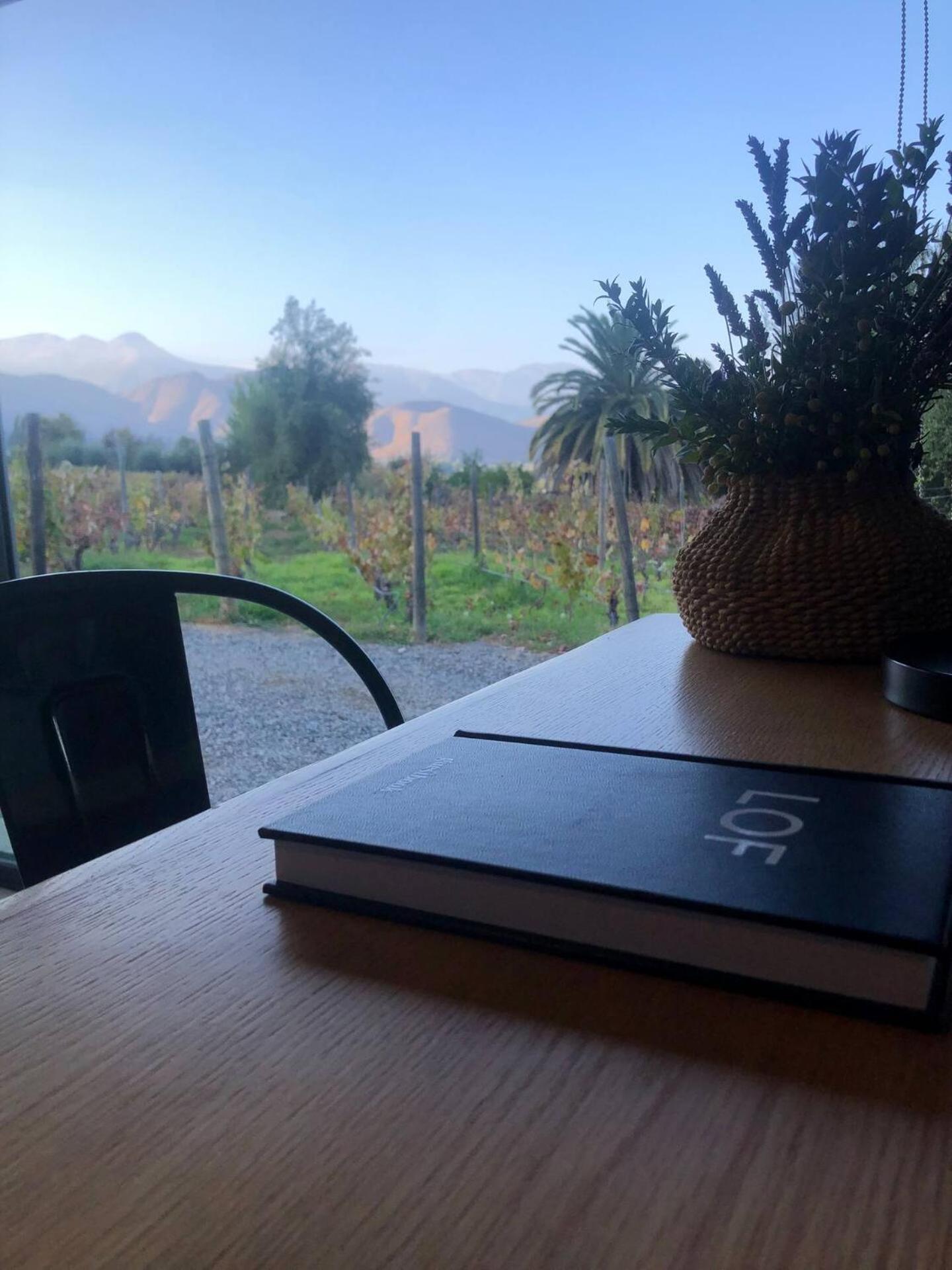 Vina Lof - Maipo Valley Bed & Breakfast In Winery Paine Buitenkant foto