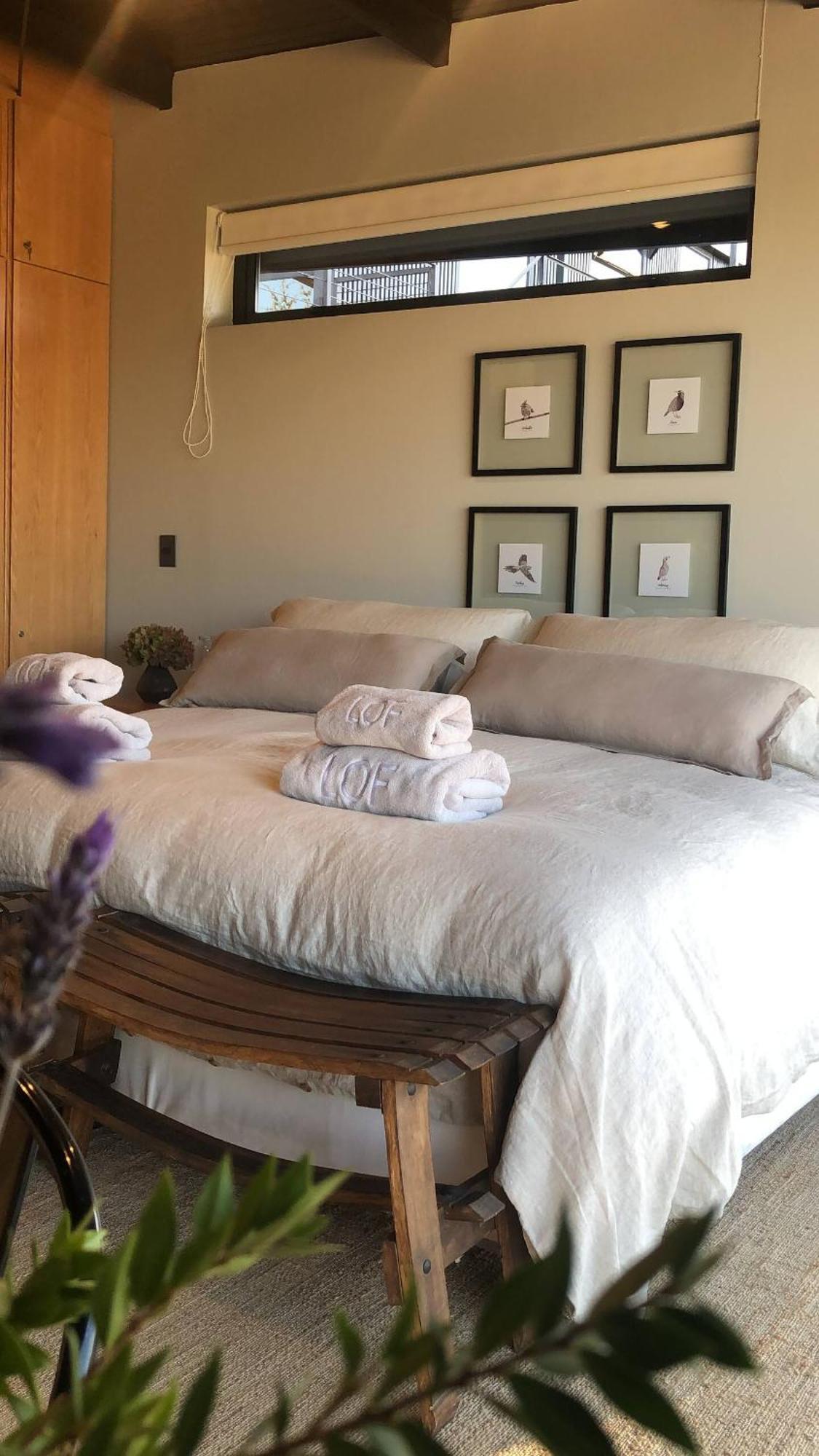 Vina Lof - Maipo Valley Bed & Breakfast In Winery Paine Buitenkant foto